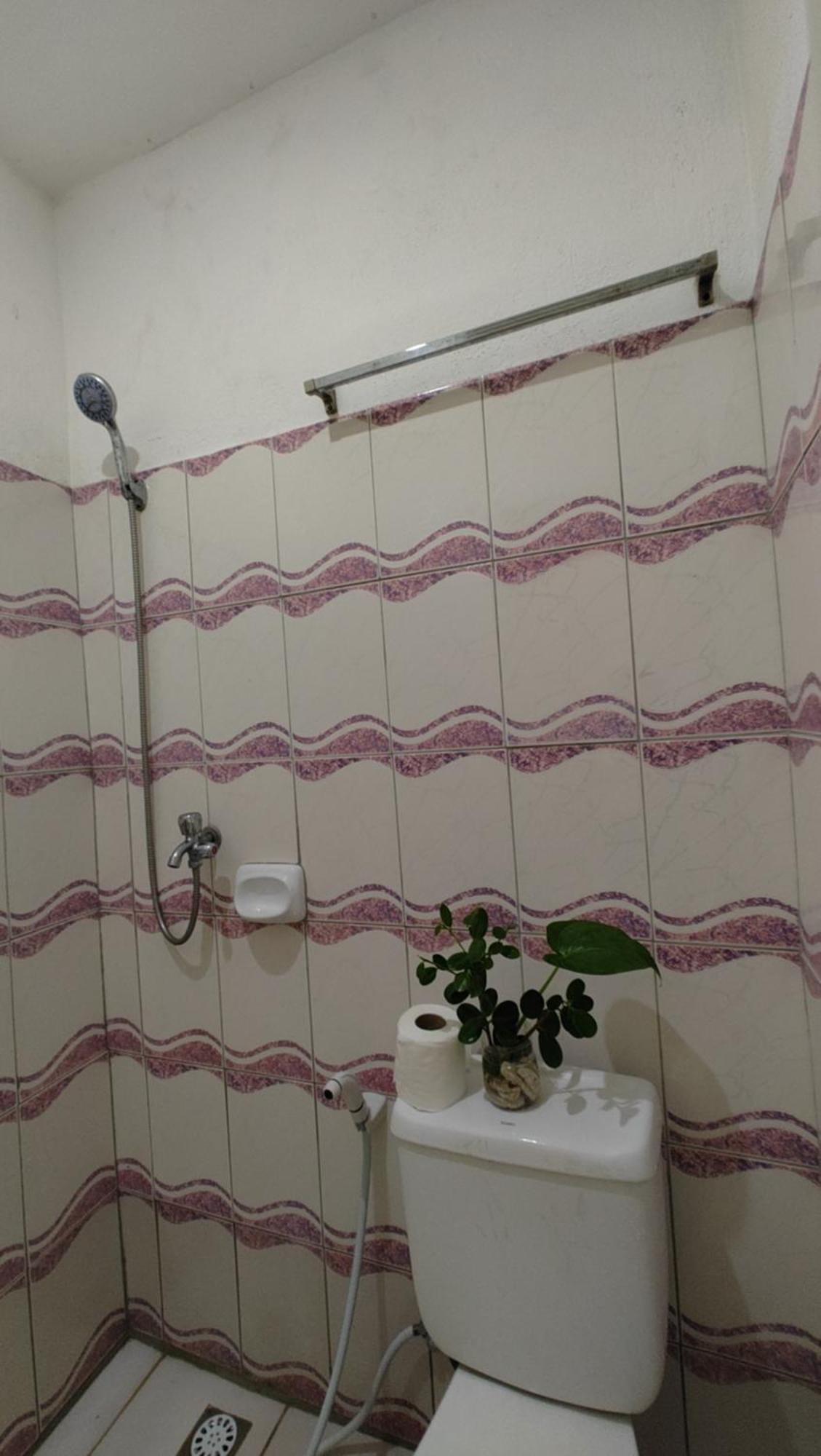 Angel Wish Guesthouse سان خوان المظهر الخارجي الصورة